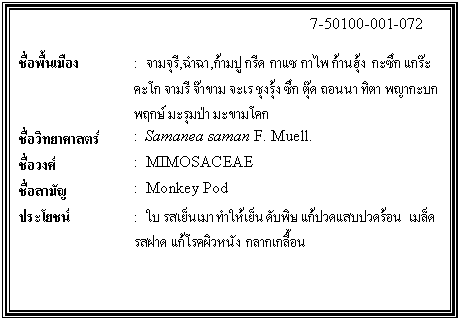 กล่องข้อความ: 7-50100-001-072 ชื่อพื้นเมือง : จามจุรี,ฉำฉา,ก้ามปู กรีด กาแซ กาไพ ก้านฮุ้ง กะซึก แกร๊ะ คะโก จามรี จ๊าขาม จะเร ชุงรุ้ง ซึก ตุ๊ด ถอนนา ทิตา พญากะบก พฤกษ์ มะรุมป่า มะขามโคก ชื่อวิทยาศาสตร์ : Samanea saman F. Muell. ชื่อวงศ์ : MIMOSACEAE ชื่อสามัญ : Monkey Pod ประโยชน์ : ใบ รสเย็นเมา ทำให้เย็น ดับพิษ แก้ปวดแสบปวดร้อน เมล็ดรสฝาด แก้โรคผิวหนัง กลากเกลื้อน